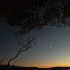 The Forge Girl profile picture. The Forge Girl is a OnlyFans model from NZ