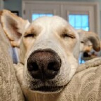 officiallywalle profile picture. officiallywalle is a OnlyFans model from Missouri.