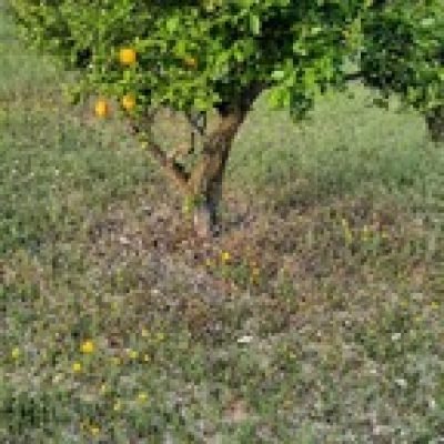 Ben Cums profile picture. Ben Cums is a OnlyFans model from Chicago.