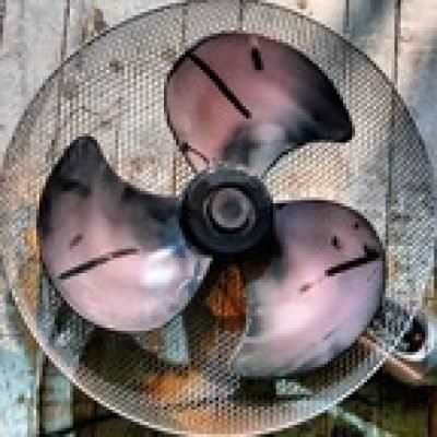 fansONLY profile picture. fansONLY is a OnlyFans model from Rhode Island.