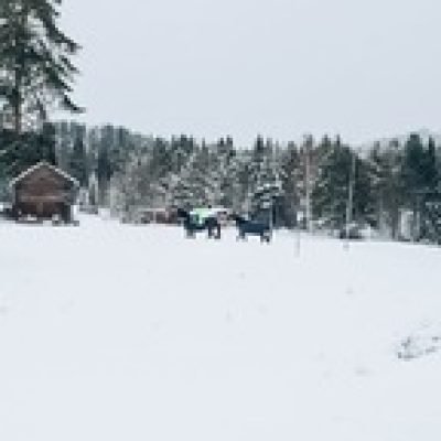 En svensk tjej på landet profile picture. En svensk tjej på landet is a OnlyFans model from Svenska