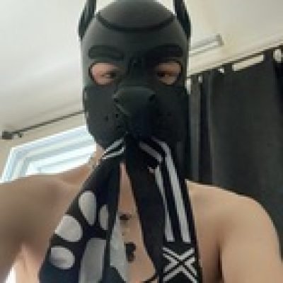Pup_Max_ profile picture. Pup_Max_ is a OnlyFans model from Switzerland