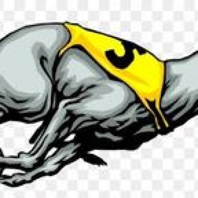 GetUpThePunt2021 profile picture. GetUpThePunt2021 is a OnlyFans model from NZ