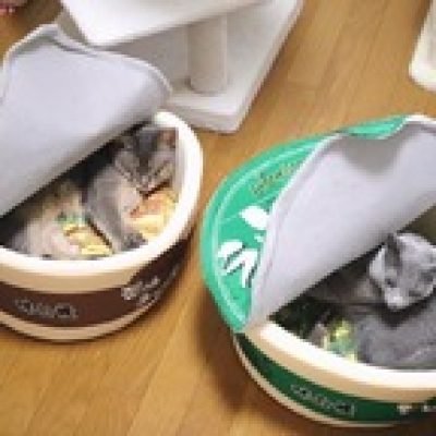 Asian Noodle profile picture. Asian Noodle is a OnlyFans model from Vietnam.