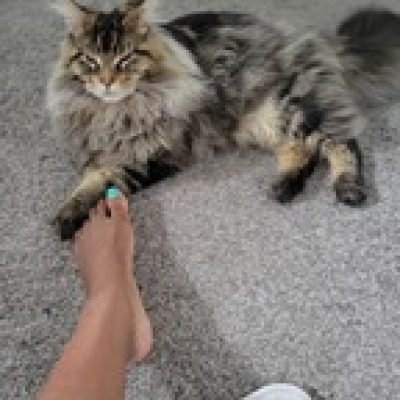 Prinzess Pedi & Lynxy Crypto profile picture. Prinzess Pedi & Lynxy Crypto is a OnlyFans model from Croatia.