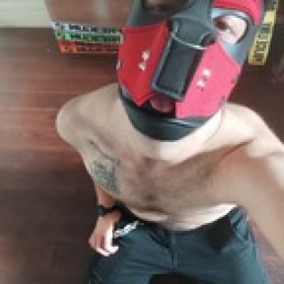 Trex The FtM Pup profile picture. Trex The FtM Pup is a OnlyFans model from France.