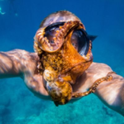 Shane Brown profile picture. Shane Brown is a OnlyFans model from Hawaii.