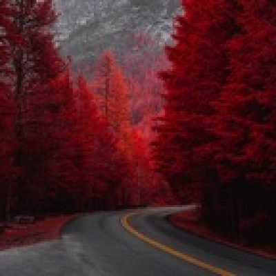 wynter profile picture. wynter is a OnlyFans model from Wyoming.